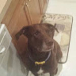 Meet your Posher, Eric